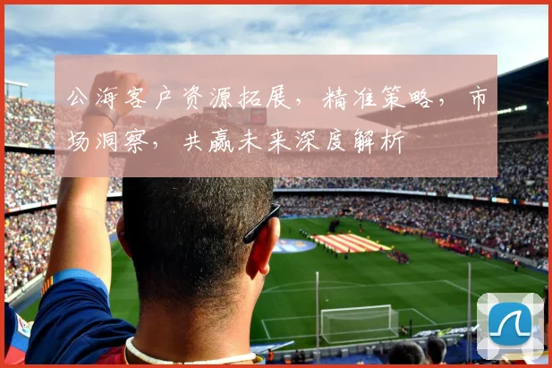 公海客户资源拓展，精准策略，市场洞察，共赢未来深度解析