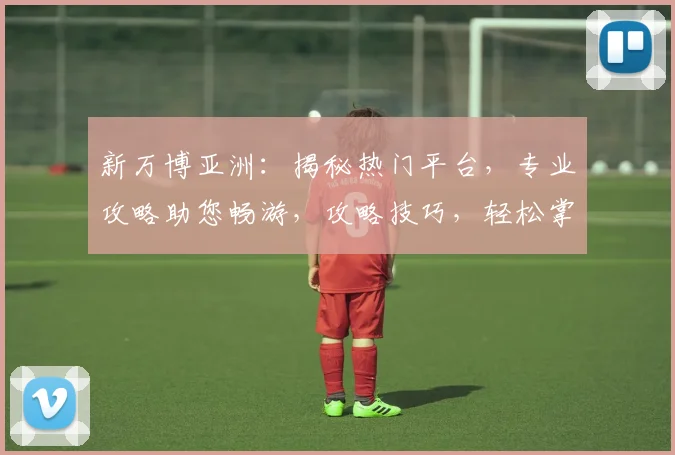 新万博亚洲：揭秘热门平台，专业攻略助您畅游，攻略技巧，轻松掌握