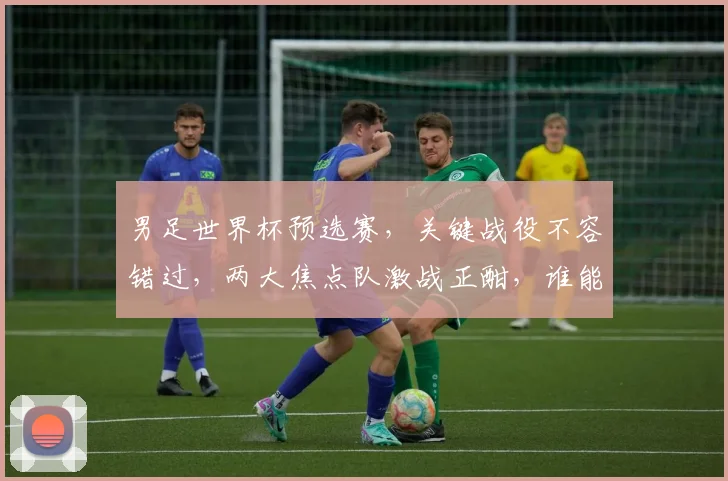 男足世界杯预选赛，关键战役不容错过，两大焦点队激战正酣，谁能脱颖而出